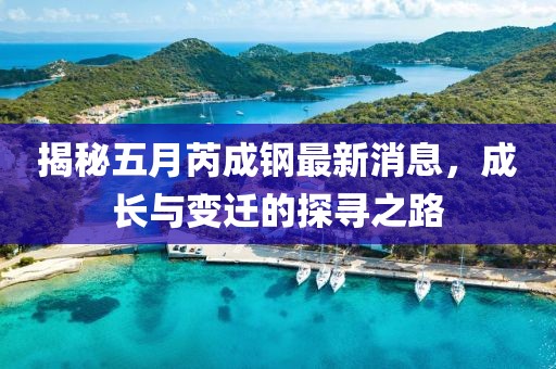 揭秘五月芮成鋼最新消息，成長與變遷的探尋之路