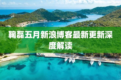 鞠磊五月新浪博客最新更新深度解讀