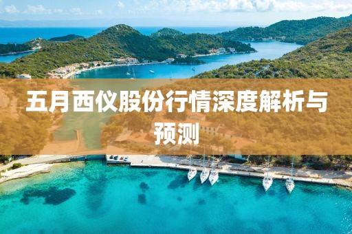 五月西儀股份行情深度解析與預(yù)測(cè)