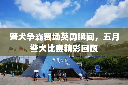 警犬爭霸賽場英勇瞬間，五月警犬比賽精彩回顧
