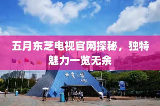 五月東芝電視官網(wǎng)探秘，獨特魅力一覽無余