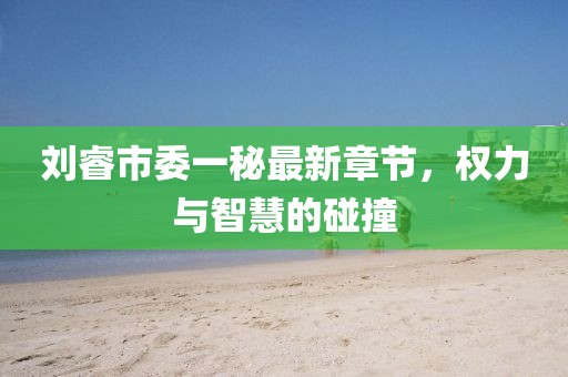 劉睿市委一秘最新章節(jié)，權(quán)力與智慧的碰撞