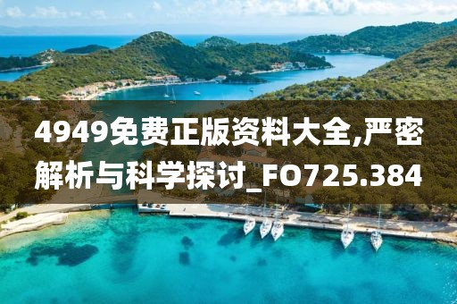 4949免費正版資料大全,嚴(yán)密解析與科學(xué)探討_FO725.384