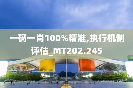 一碼一肖100%精準,執(zhí)行機制評估_MT202.245