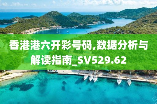 香港港六開彩號(hào)碼,數(shù)據(jù)分析與解讀指南_SV529.62