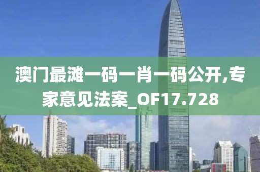 澳門最灘一碼一肖一碼公開,專家意見法案_OF17.728