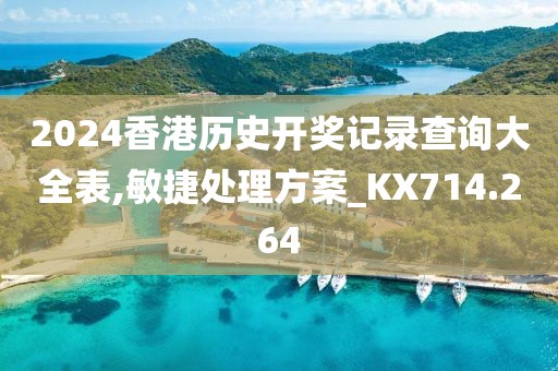 2024香港歷史開獎(jiǎng)記錄查詢大全表,敏捷處理方案_KX714.264