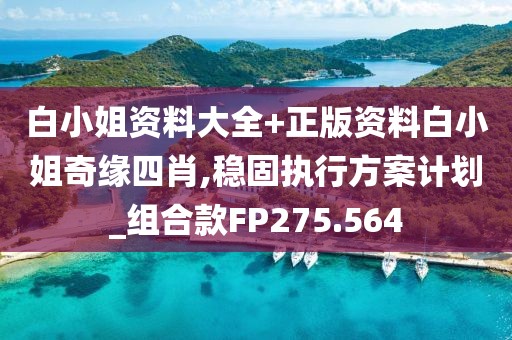 白小姐資料大全+正版資料白小姐奇緣四肖,穩(wěn)固執(zhí)行方案計劃_組合款FP275.564