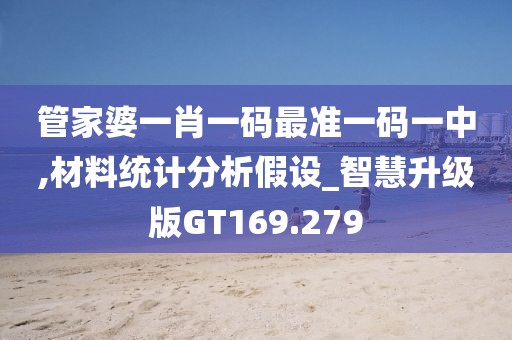 管家婆一肖一碼最準一碼一中,材料統(tǒng)計分析假設_智慧升級版GT169.279