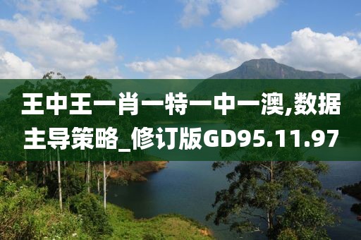 王中王一肖一特一中一澳,數(shù)據(jù)主導策略_修訂版GD95.11.97