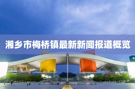 湘鄉(xiāng)市梅橋鎮(zhèn)最新新聞報(bào)道概覽