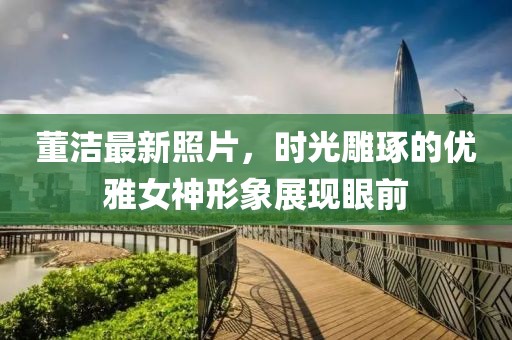 董潔最新照片，時光雕琢的優(yōu)雅女神形象展現(xiàn)眼前