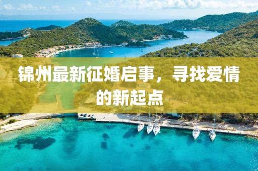 錦州最新征婚啟事，尋找愛情的新起點
