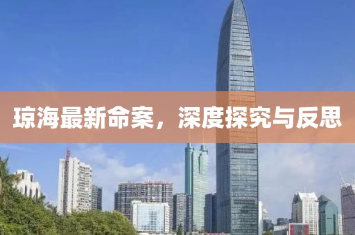 瓊海最新命案，深度探究與反思