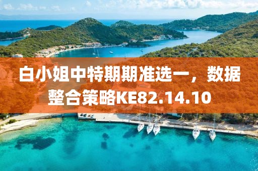 白小姐中特期期準(zhǔn)選一，數(shù)據(jù)整合策略KE82.14.10
